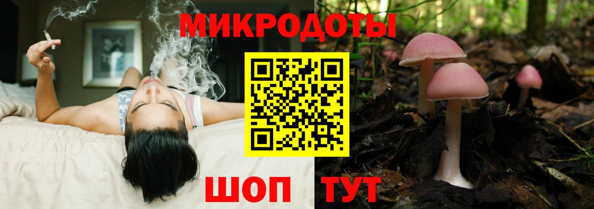 Псилоцибиновые грибы GOLDEN TEACHER  Псилоцибиновые грибы Cubensis  Вход с VPN  Чебоксары 